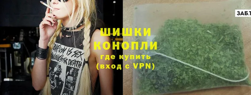 где купить   Ковдор  Канабис SATIVA & INDICA 